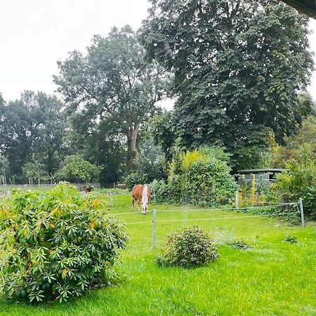 Urlaub In Unserem „Kleinen Haus“ Nindorf  Exterior foto
