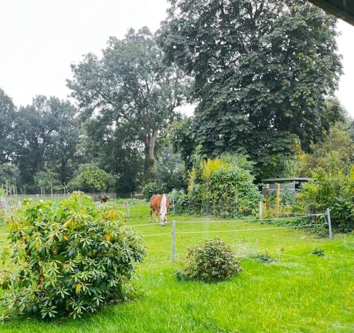 Urlaub In Unserem „Kleinen Haus“ Nindorf  Exterior foto
